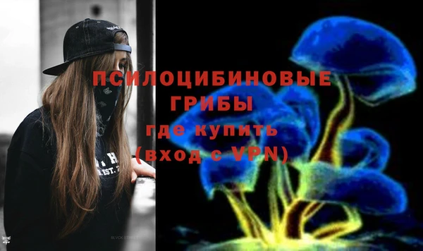 крисы Новокубанск