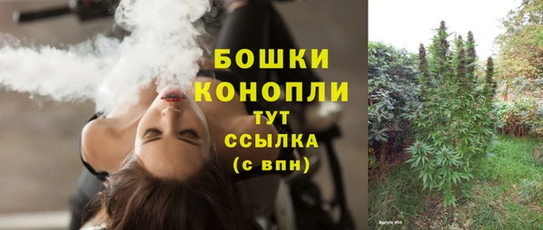 ПСИЛОЦИБИНОВЫЕ ГРИБЫ Нефтегорск